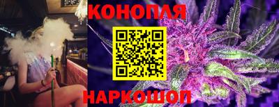 Альфа ПВП Краснознаменск