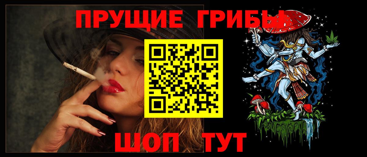 Псилоцибиновые грибы прущие грибы  что такое   Домодедово  Вход с VPN 